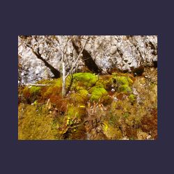2012-10-20_Fall_AQUILA (077).JPG